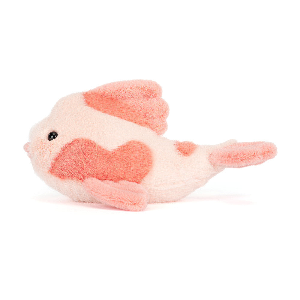Fancy carp