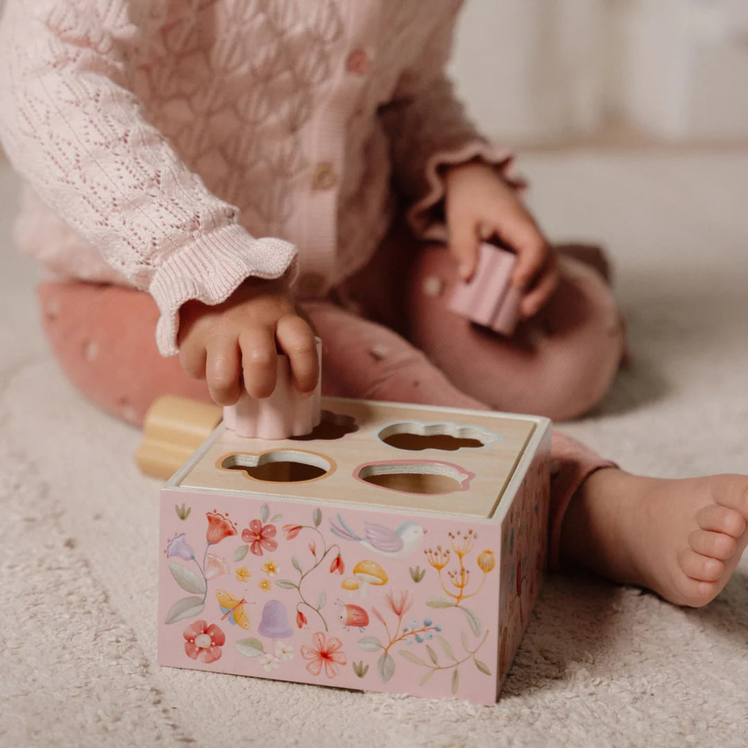 Fairy garden - lítill þroskakassi