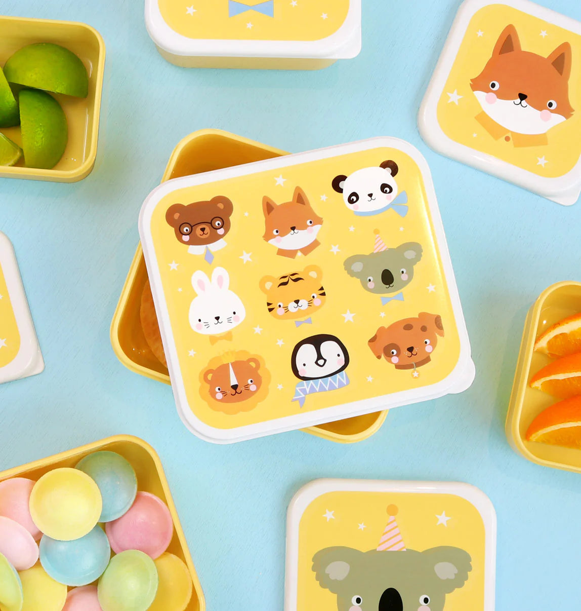 Nestisbox Animal friends - 4 í pakka