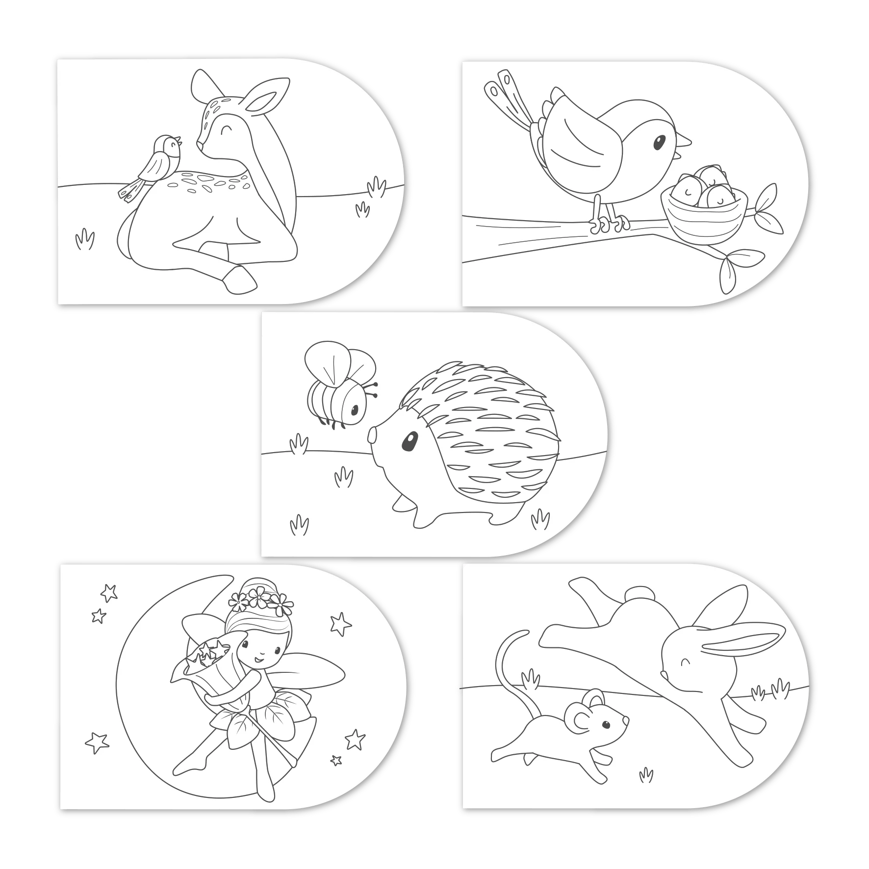 Fairy garden - Litabók & málning