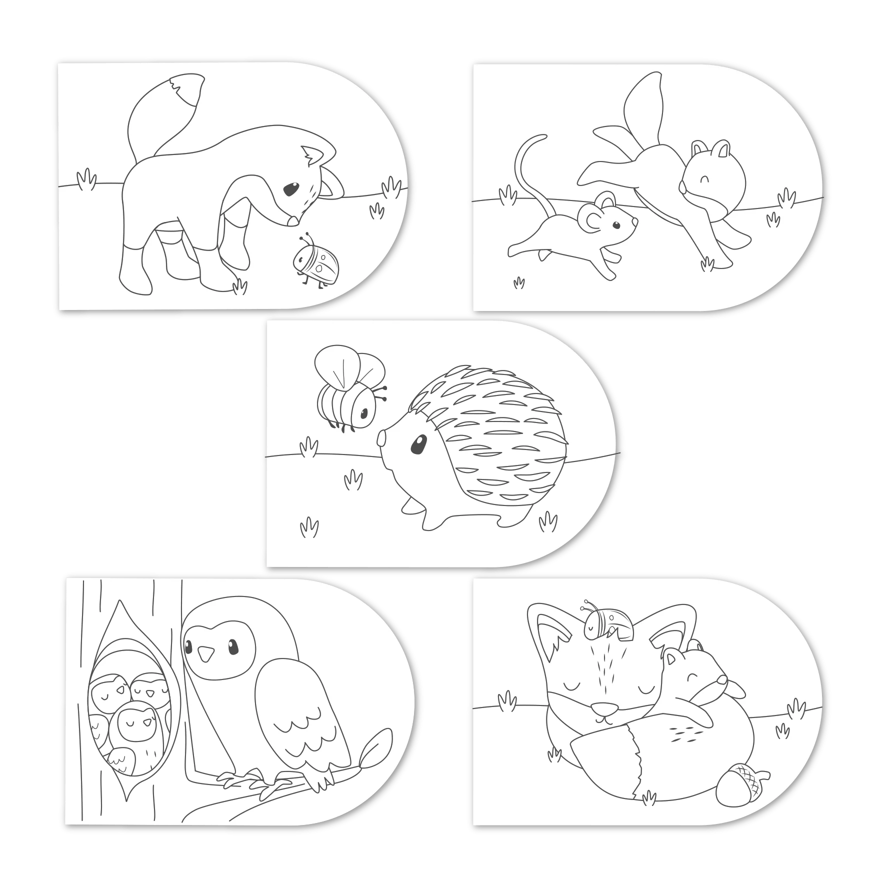 Forest friends - litabók & málning