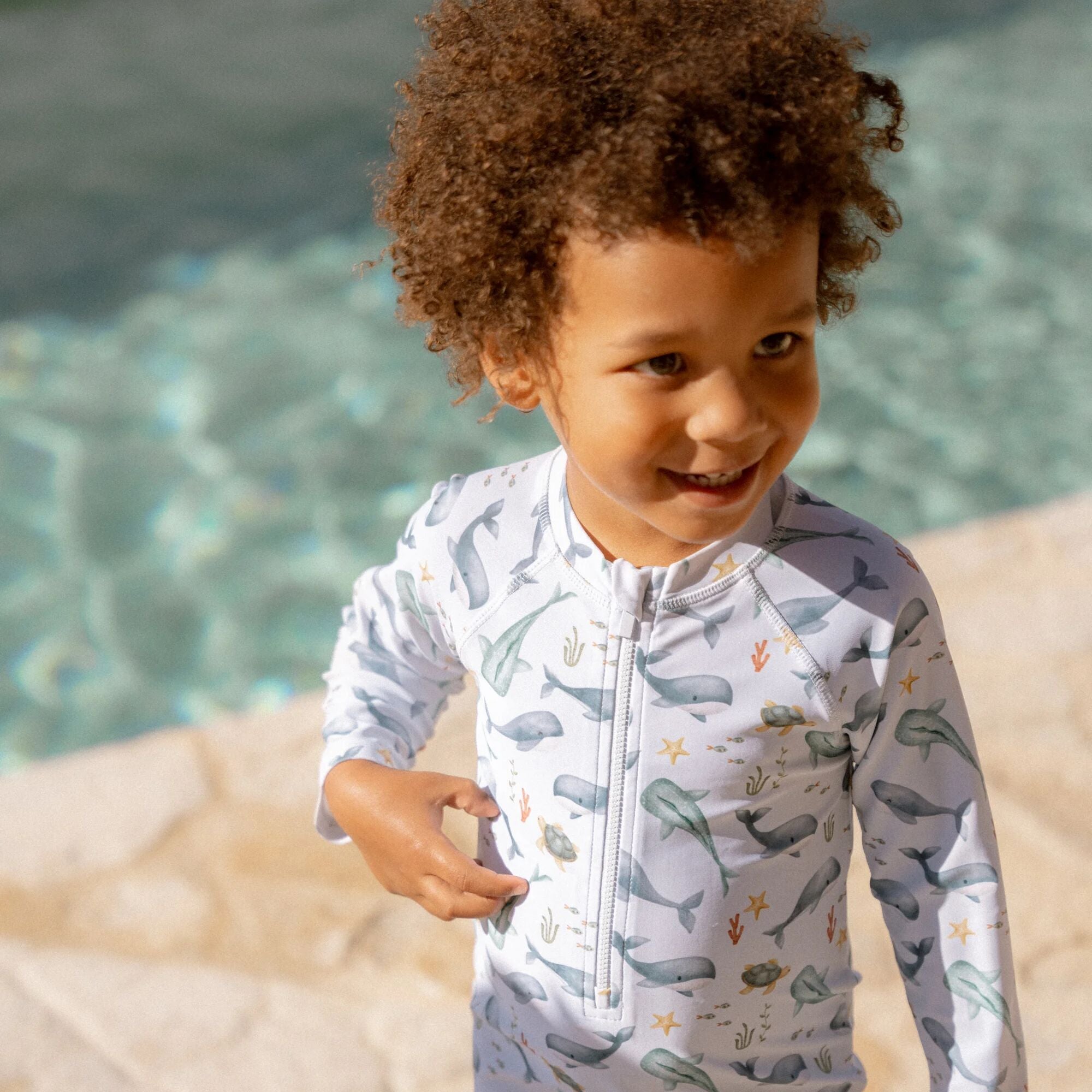 Sundgalli - Ocean sea life