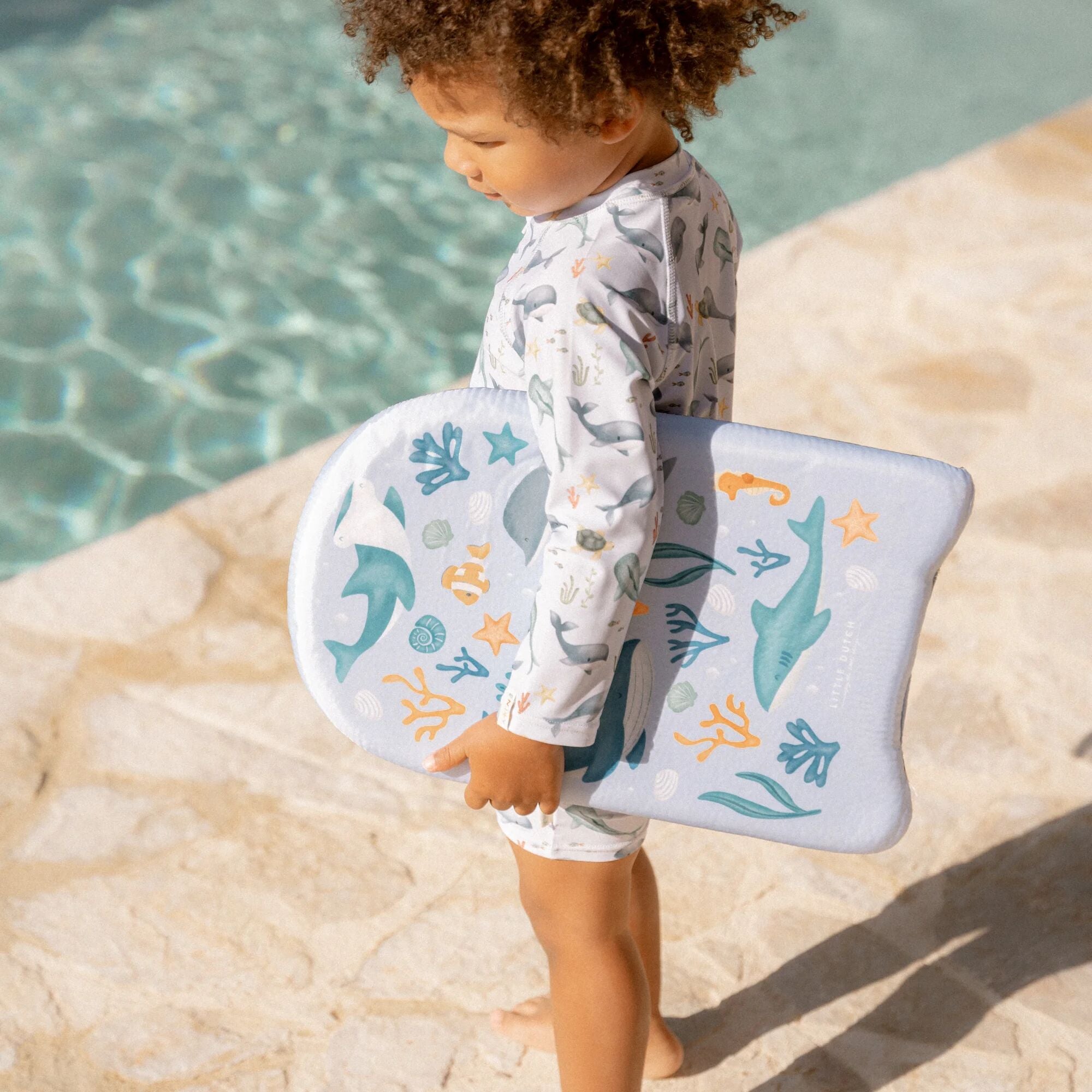 Sundgalli - Ocean sea life