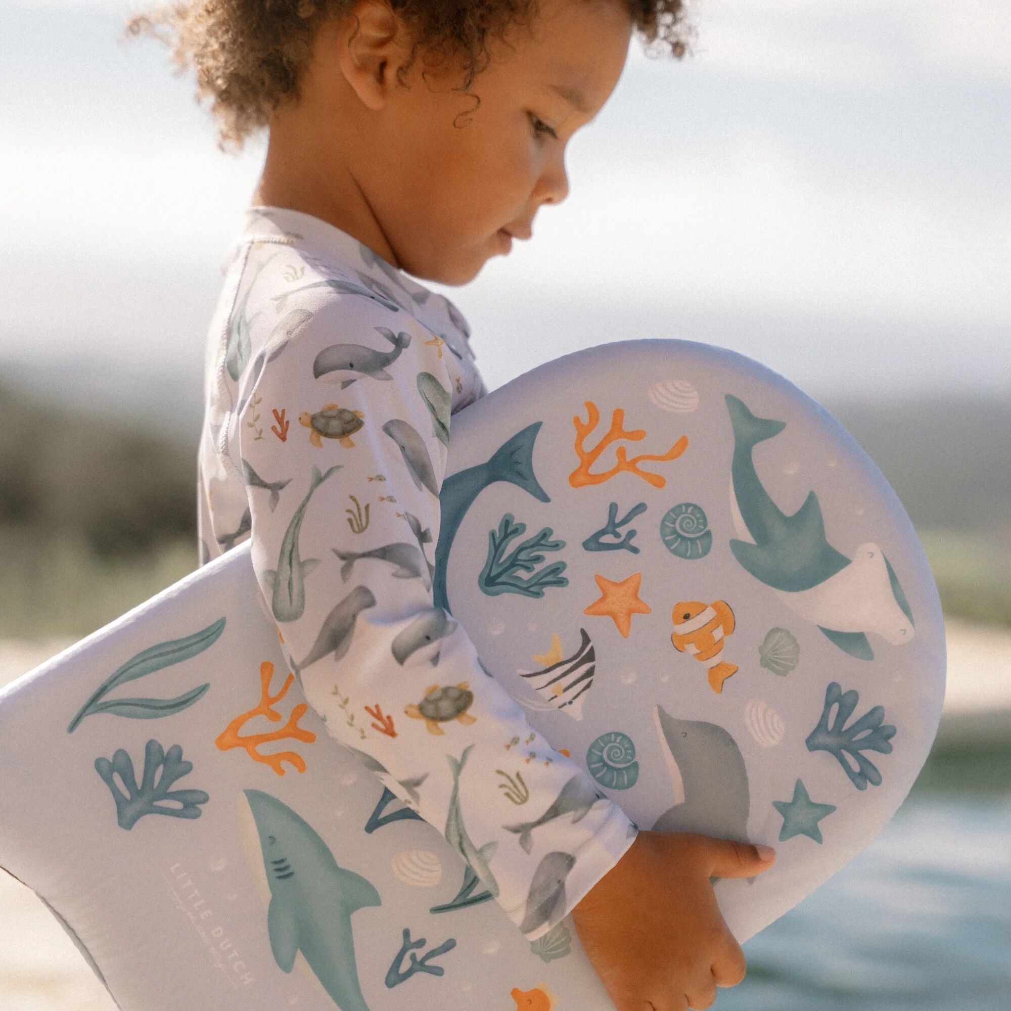 Sundgalli - Ocean sea life