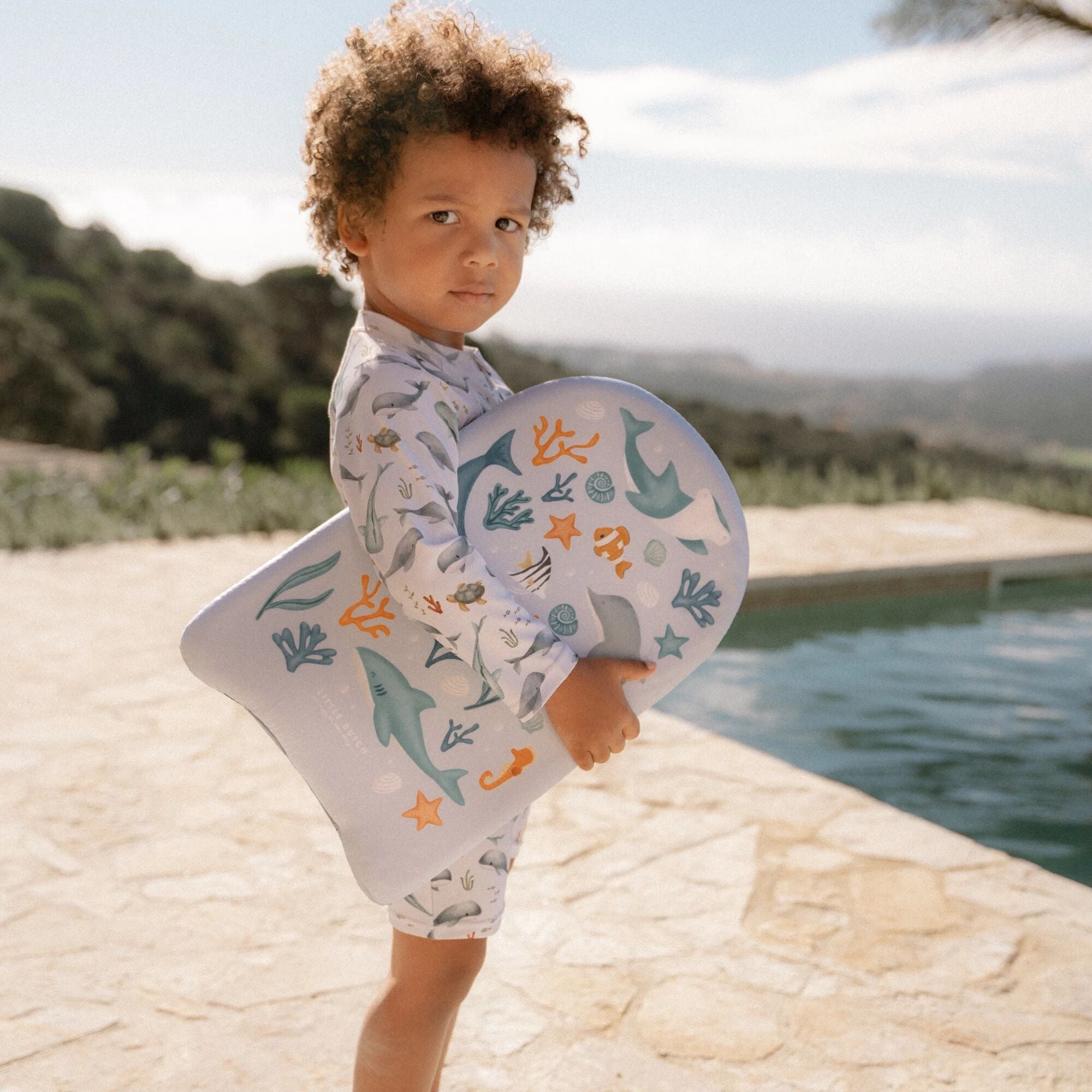 Sundgalli - Ocean sea life