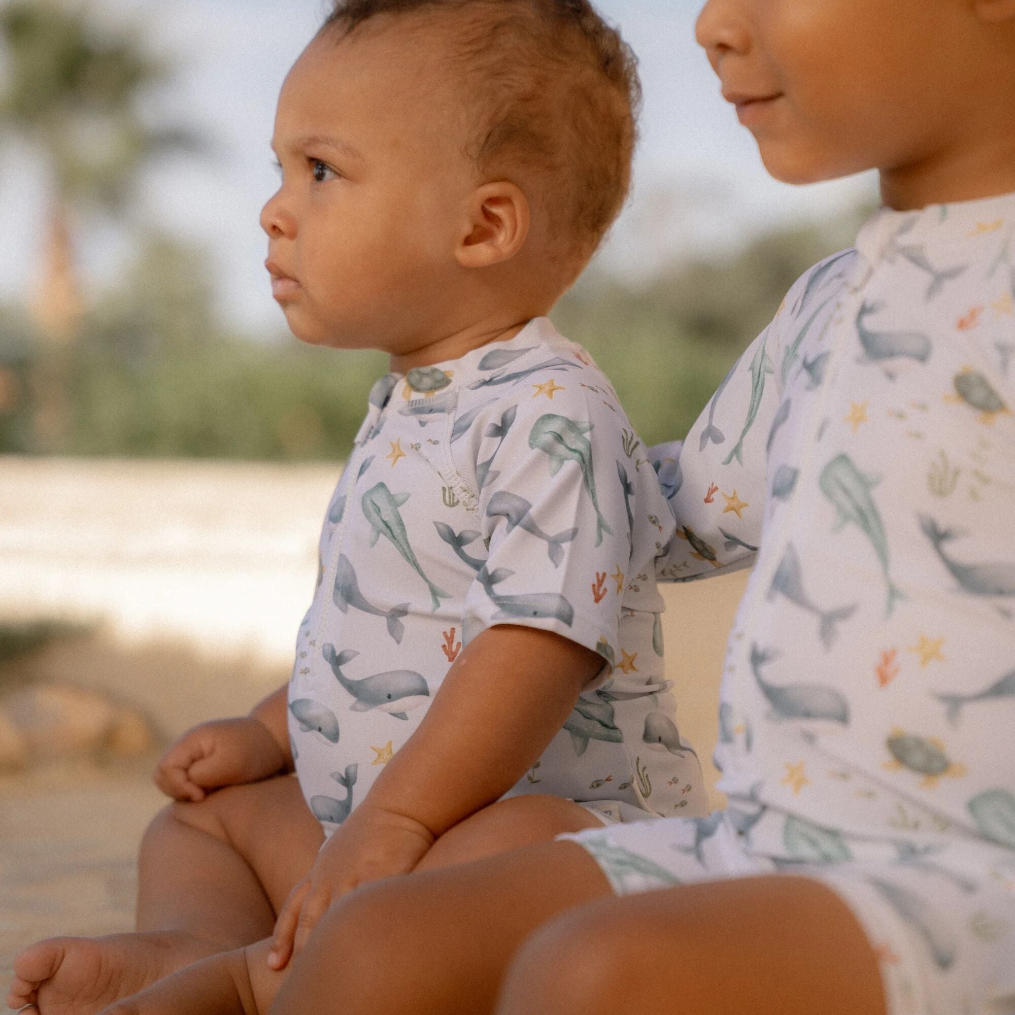 Sundgalli - Ocean sea life