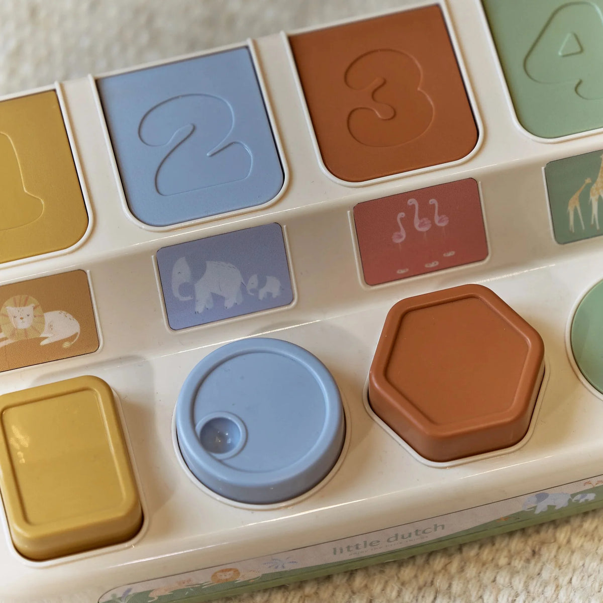 Safari - pop up toy