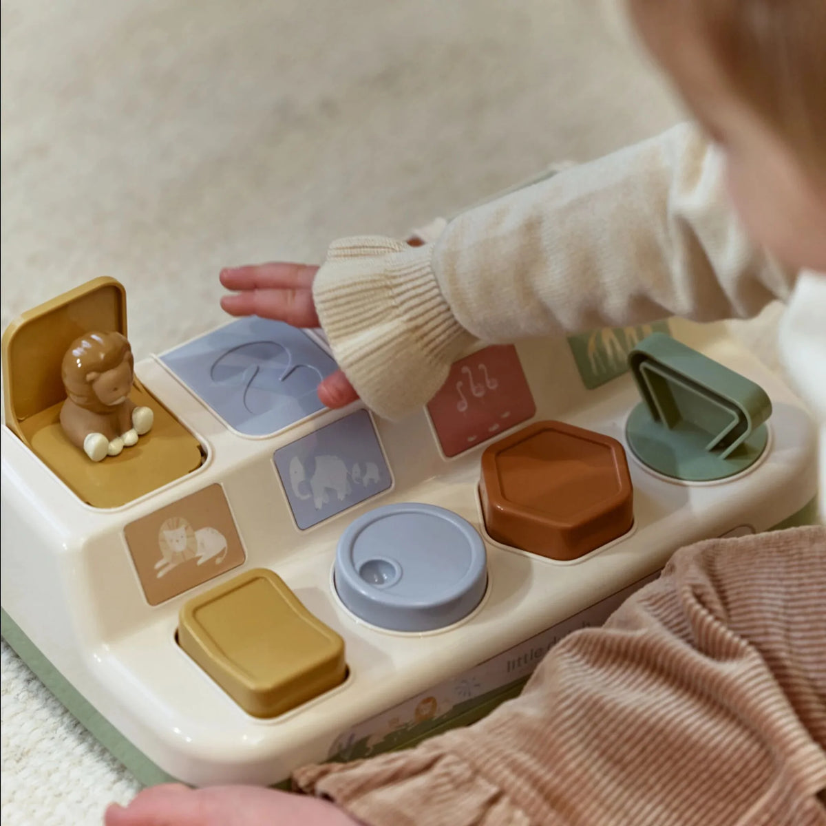 Safari - pop up toy