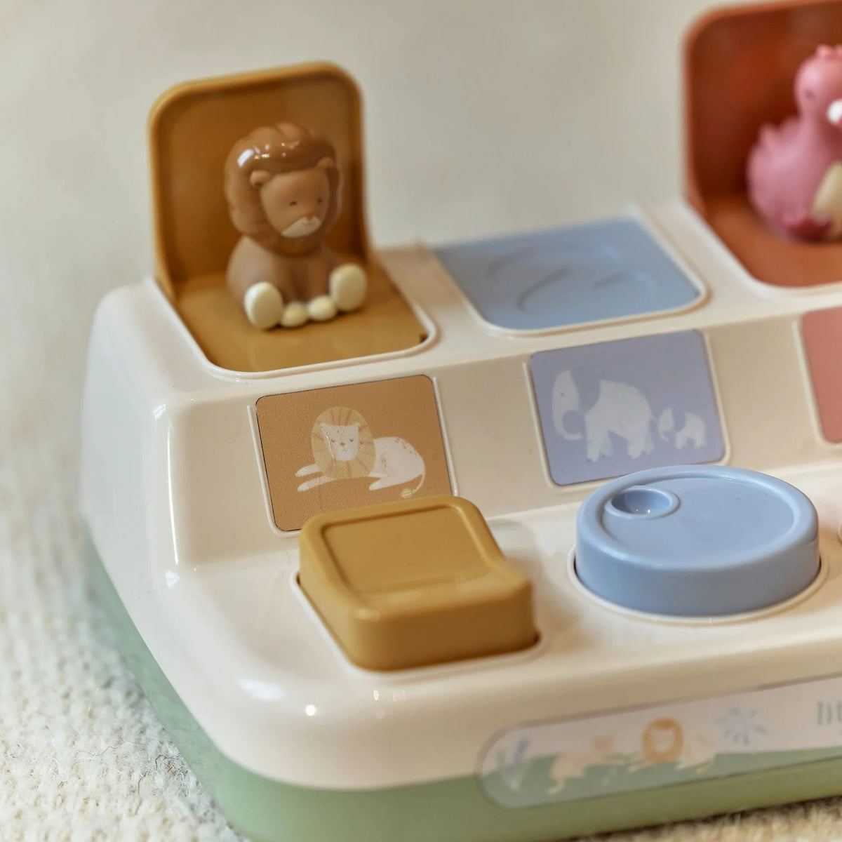 Safari - pop up toy